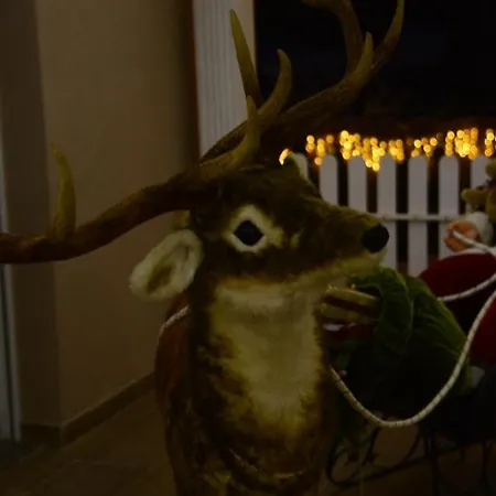 Willa Mona Hill Topola